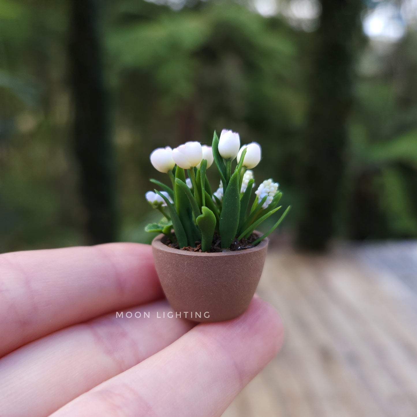 Pot of flowers