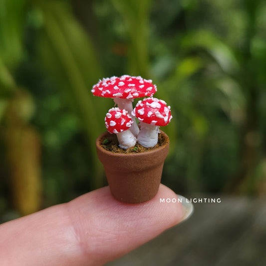 Pot of toadstools