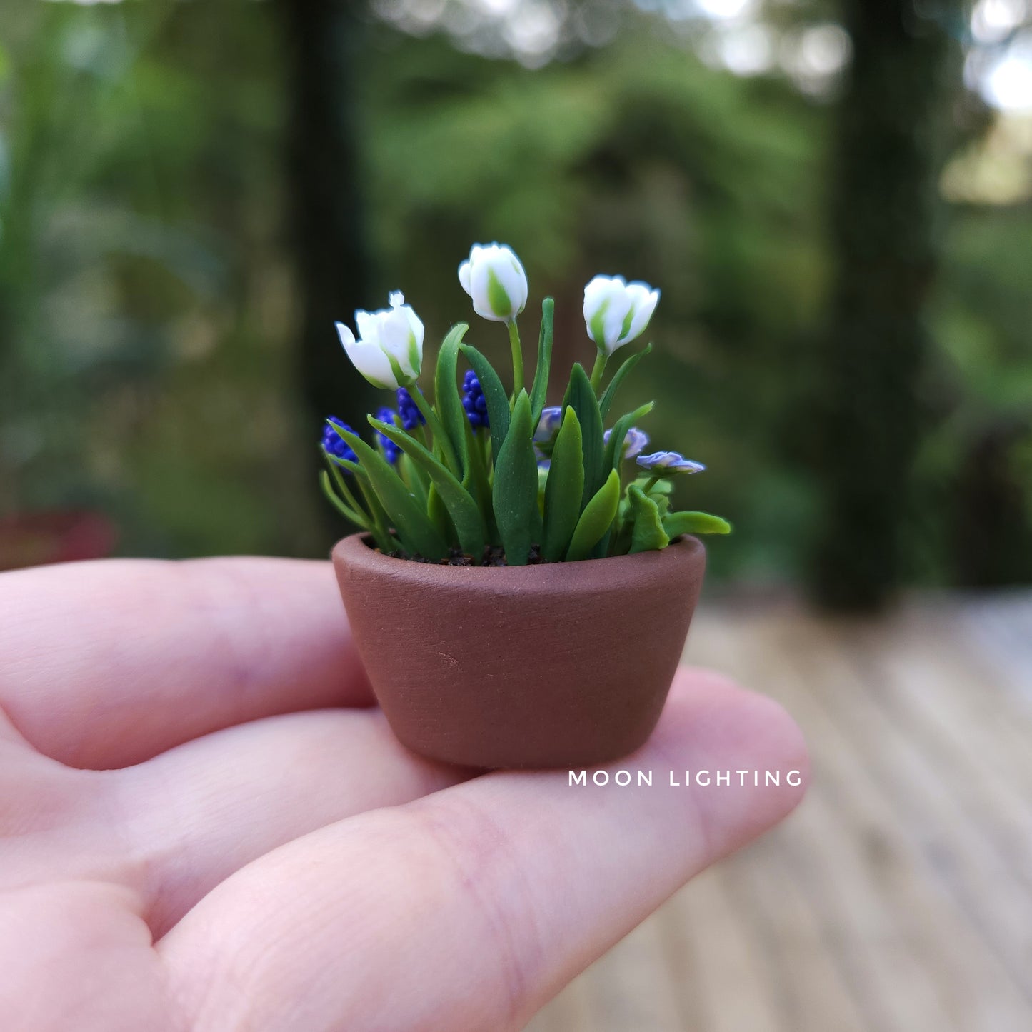 Pot of blue and white flowers