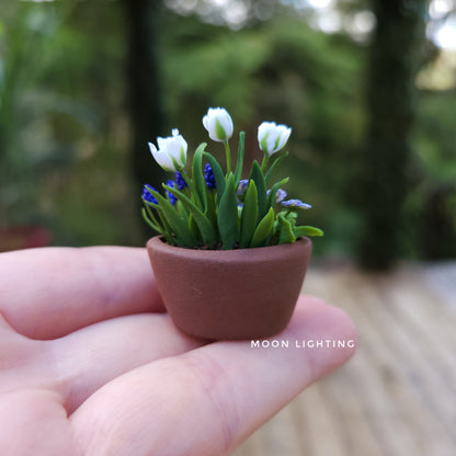 Pot of blue and white flowers
