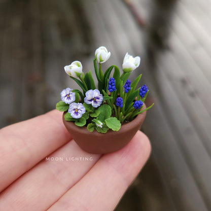 Pot of blue and white flowers